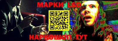 apvp Гатчина