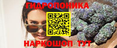 apvp Гатчина