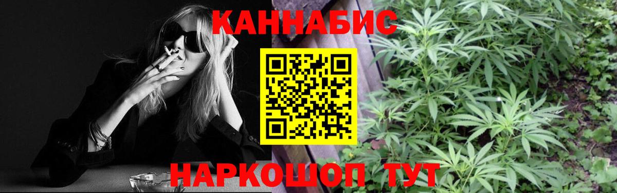 Бошки Шишки семена  Каннабис план  Вход с VPN  Малгобек 